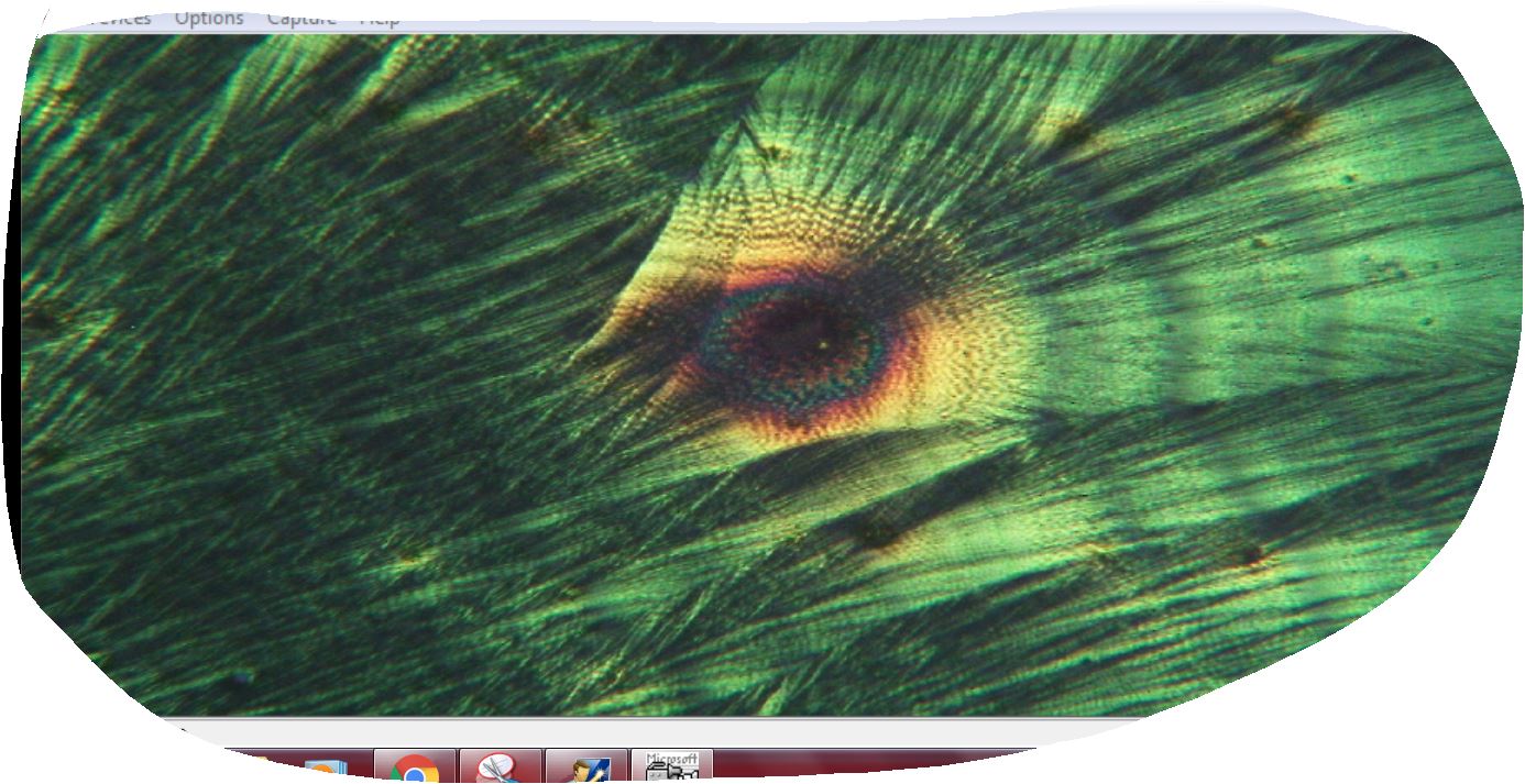 un esplosione di colori!!